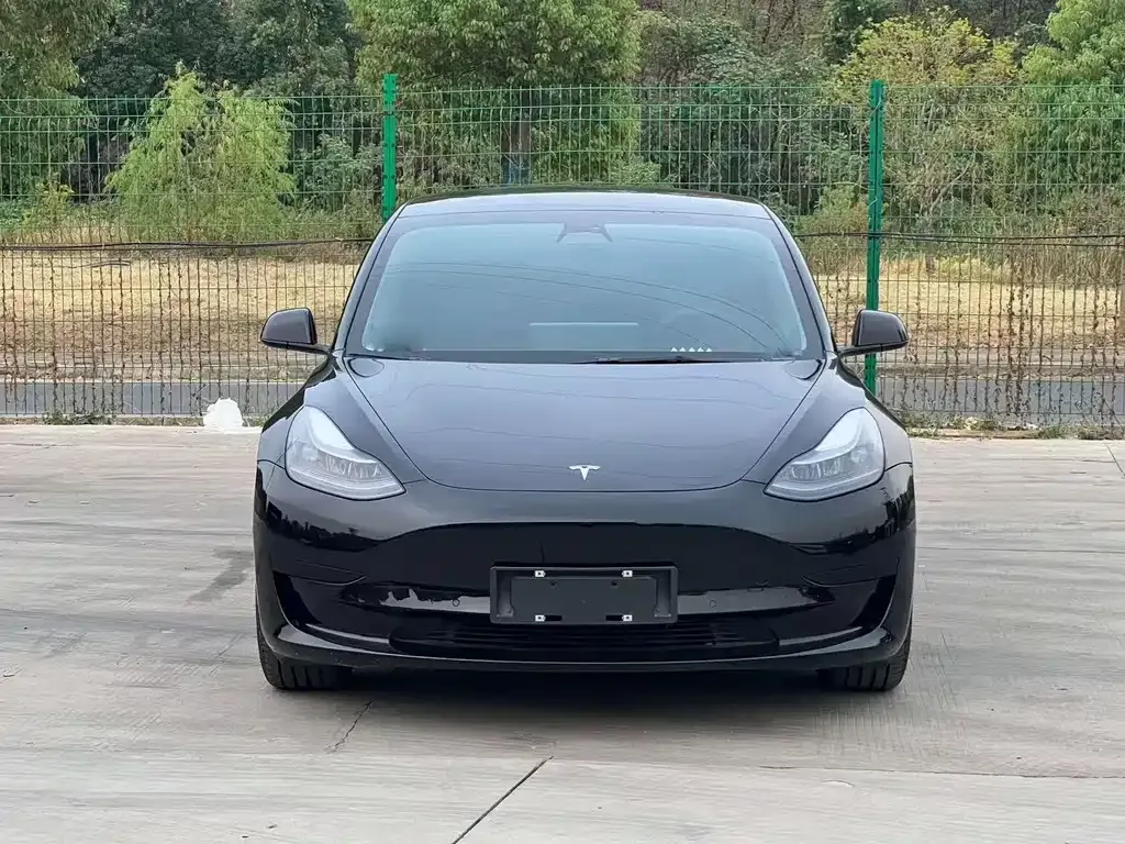Tesla Model 3 — фото 2