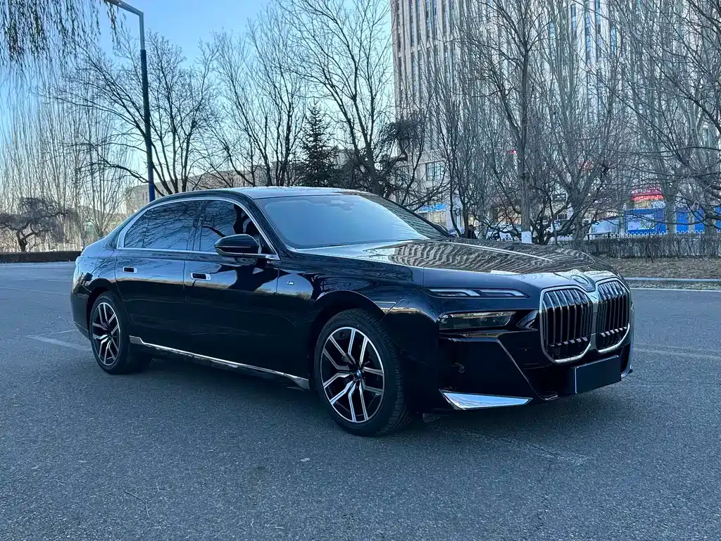 BMW 7 Series 2024 из CN, фото 3