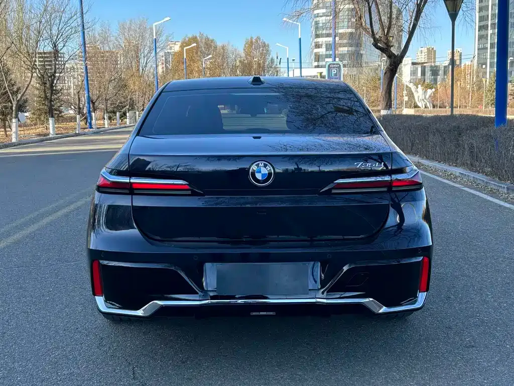 BMW 7 Series 2024 из CN, фото 8