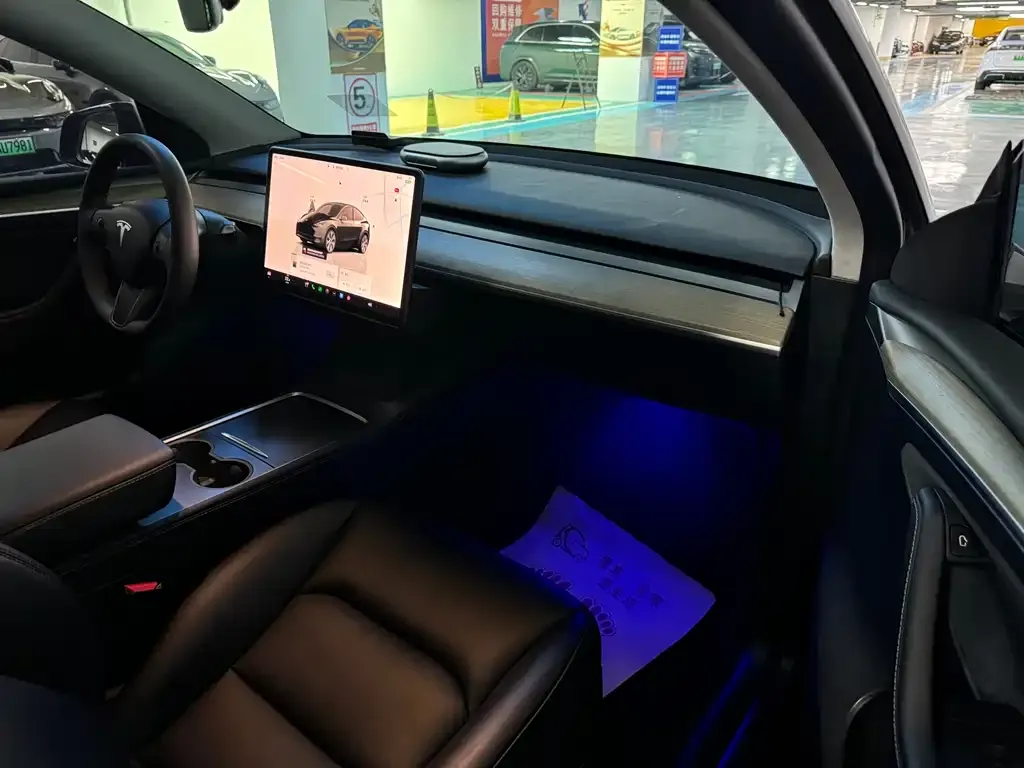 Tesla Model Y — фото 10