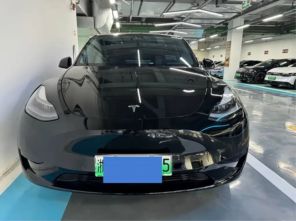 Tesla Model Y — фото 2