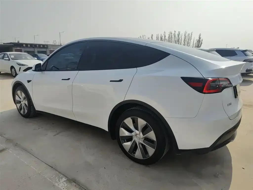 Tesla Model Y 2022 из CN, фото 5