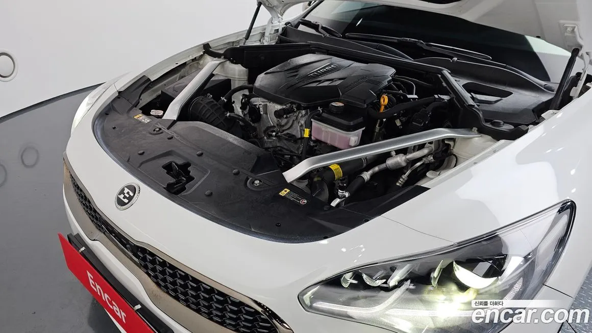 [object Object] Stinger 2021 из KR, фото 6