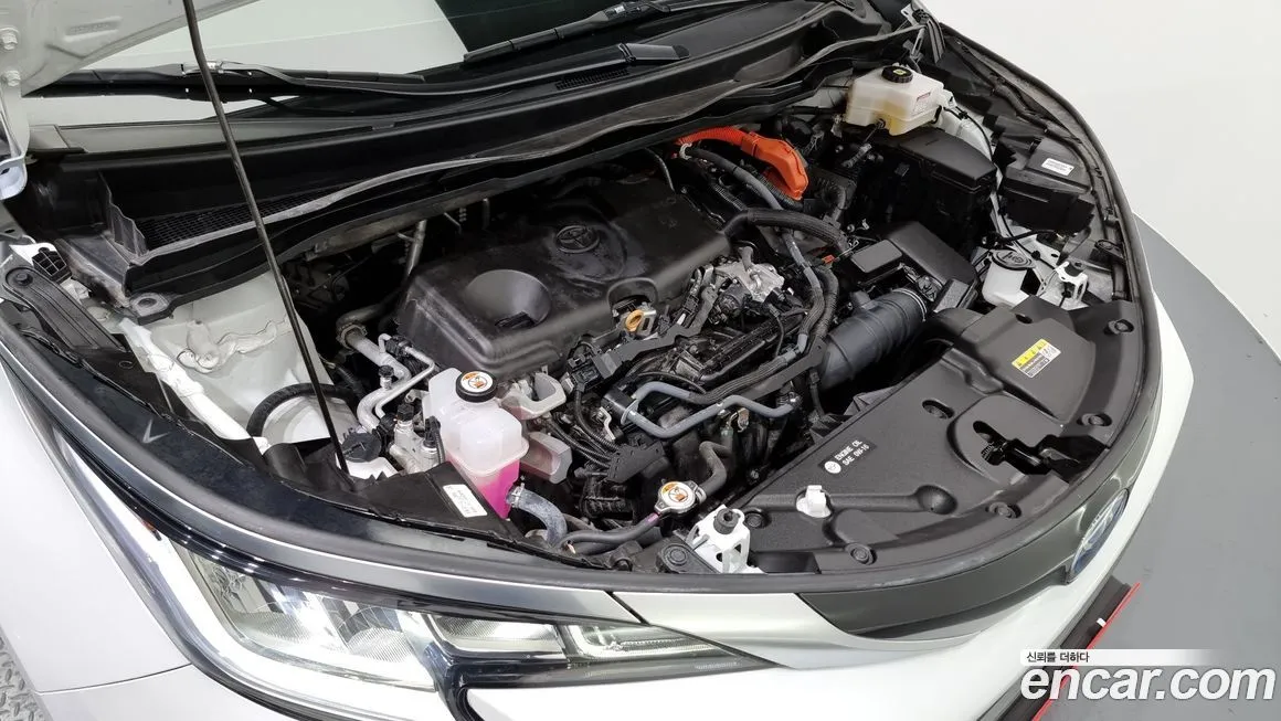 Toyota Sienna 2023 из KR, фото 6