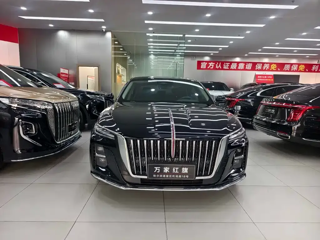 Hongqi H5 2023 из CN, фото 2