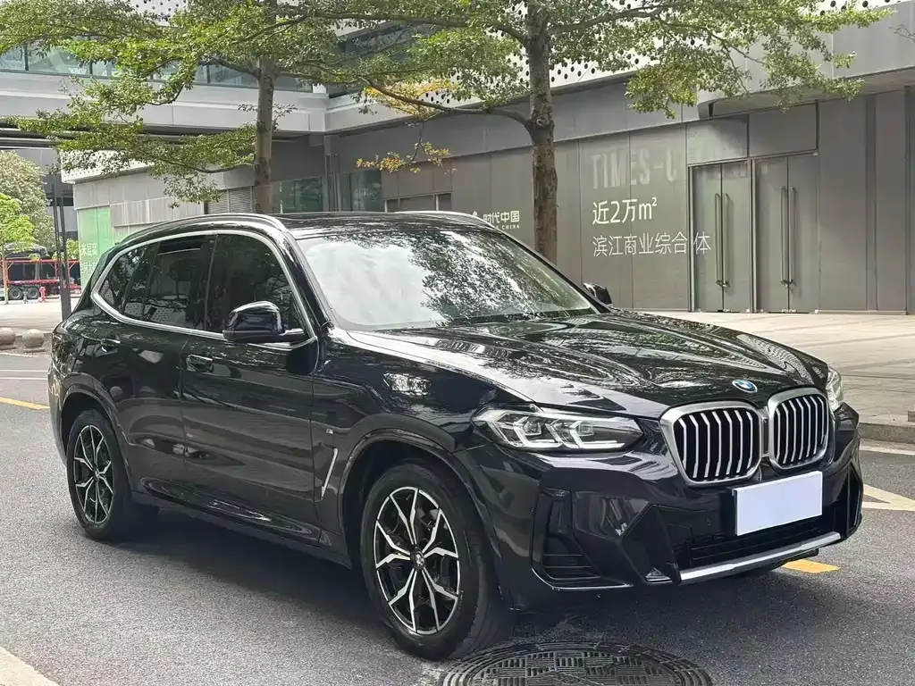 BMW X3 2023 из CN, фото 3