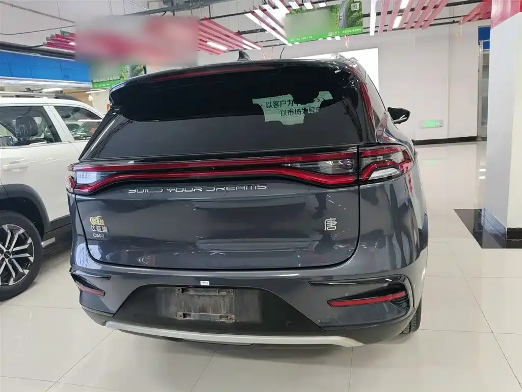 BYD Tang New Energy 2022 из CN, фото 6