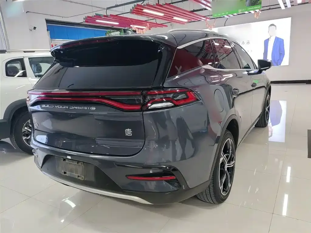 BYD Tang New Energy 2022 из CN, фото 7