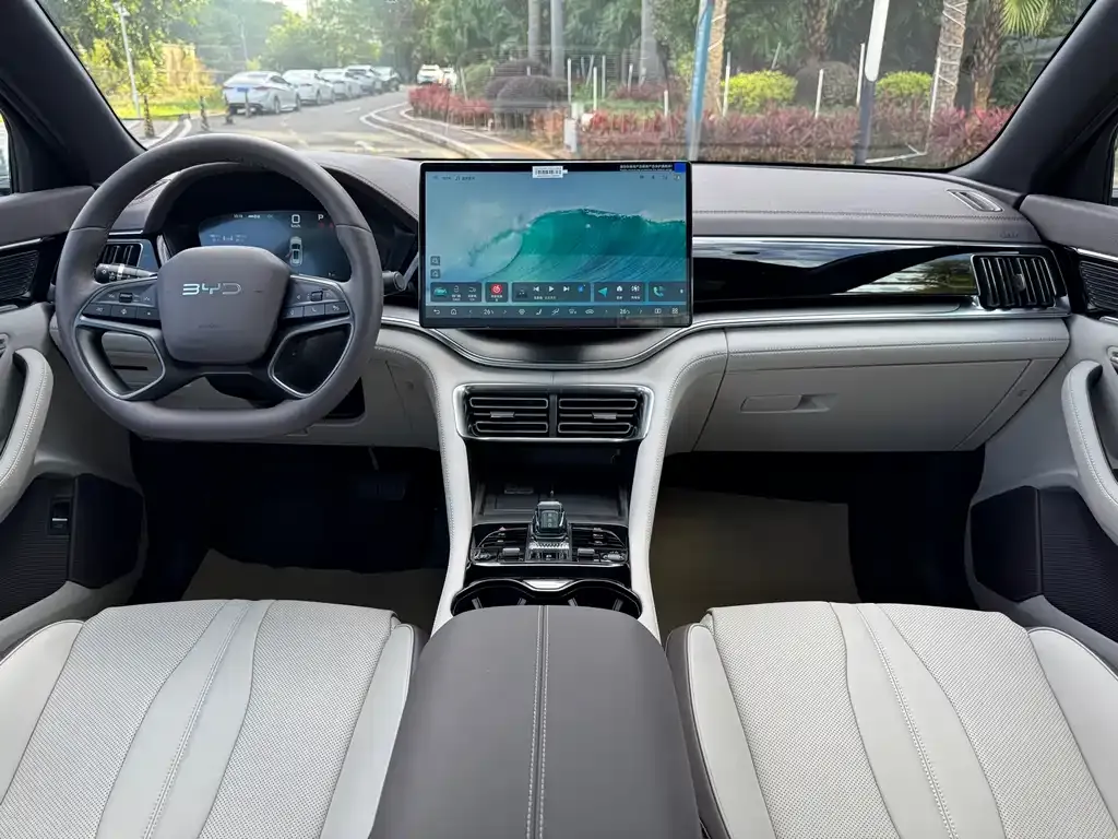 BYD PLUS New Energy 2025 из CN, фото 10