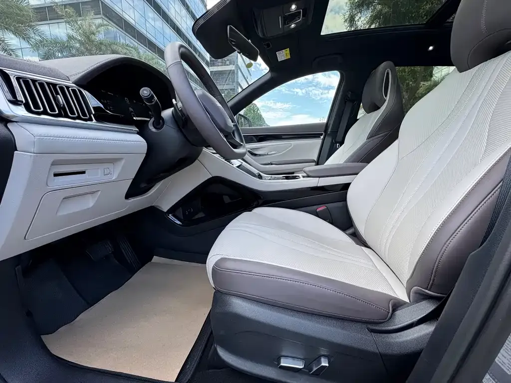 BYD PLUS New Energy 2025 из CN, фото 4