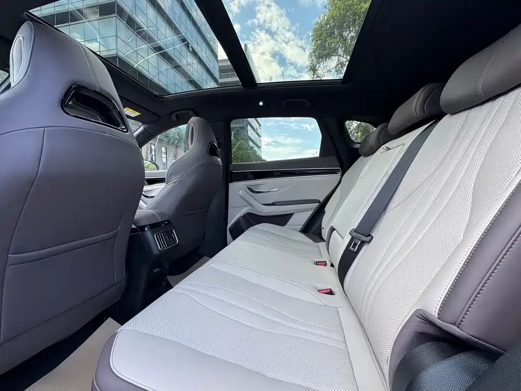 BYD PLUS New Energy 2025 из CN, фото 6