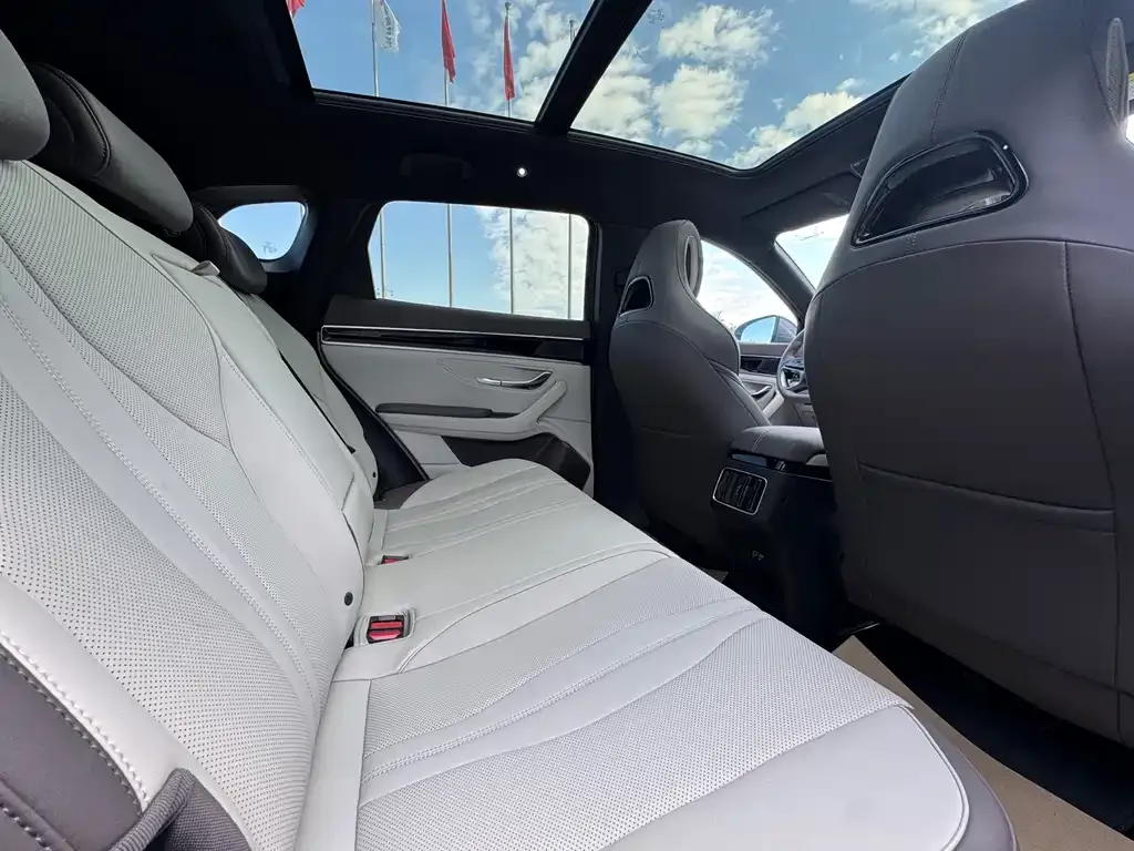 BYD PLUS New Energy 2025 из CN, фото 7