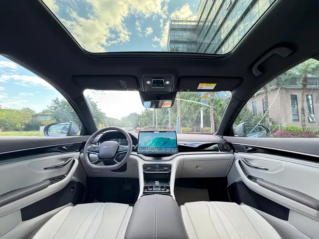 BYD PLUS New Energy 2025 из CN, фото 9