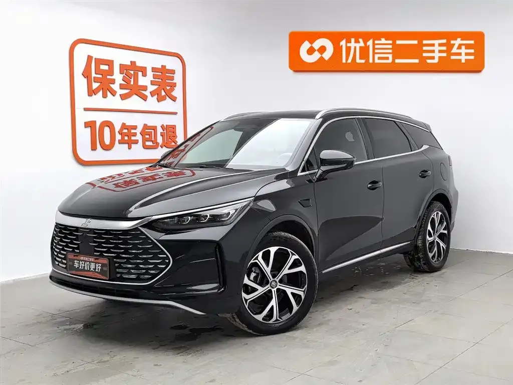 BYD Tang New Energy — фото 1