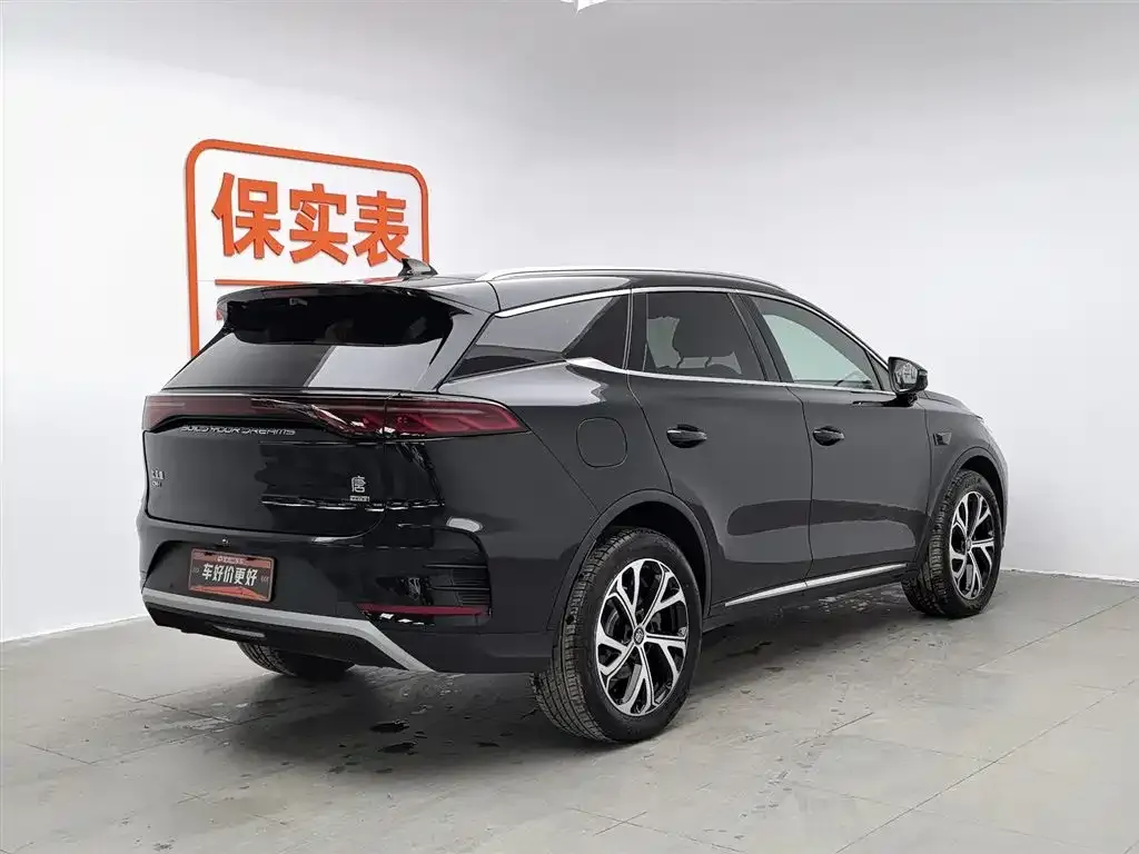 BYD Tang New Energy — фото 2