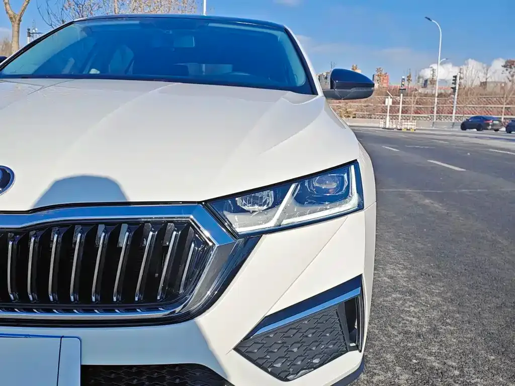 Skoda Octavia 2021 из CN, фото 10