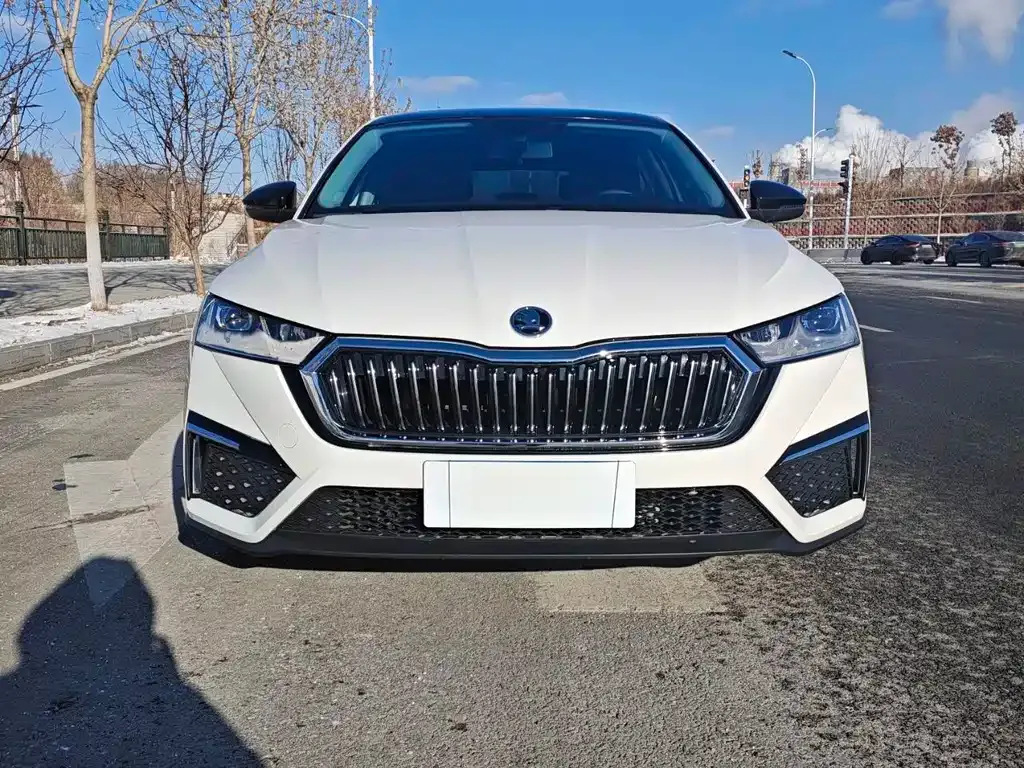 Skoda Octavia 2021 из CN, фото 2