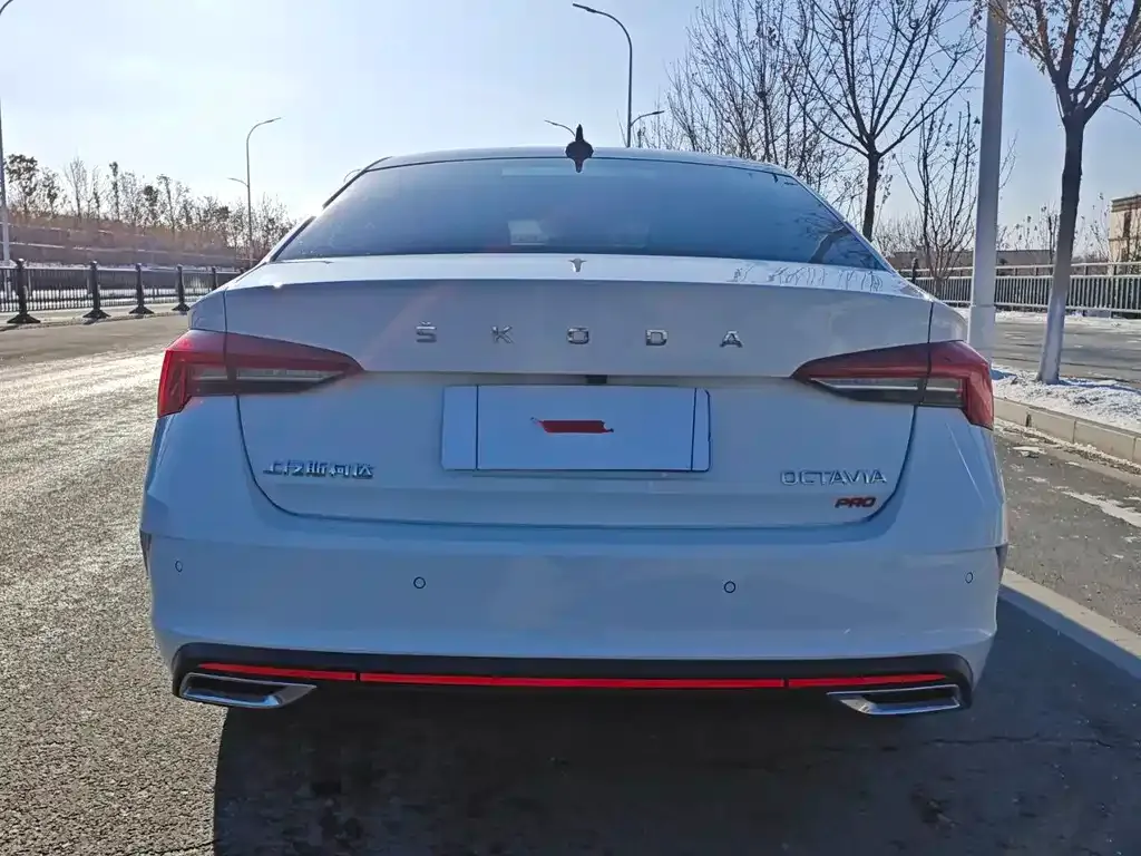 Skoda Octavia 2021 из CN, фото 8