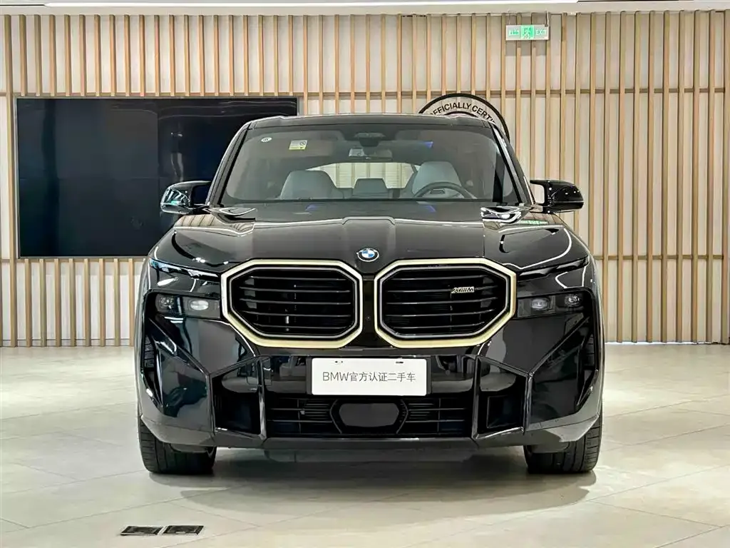 BMW XM 2024 из CN, фото 2