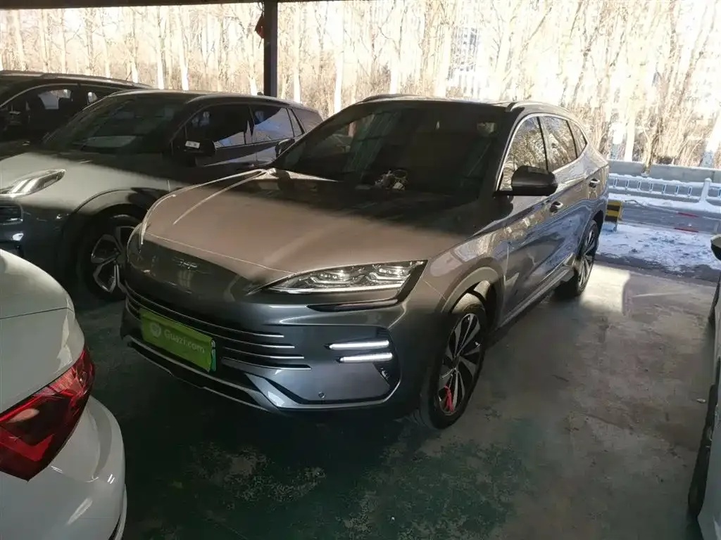 BYD PLUS New Energy 2024 из CN, фото 1