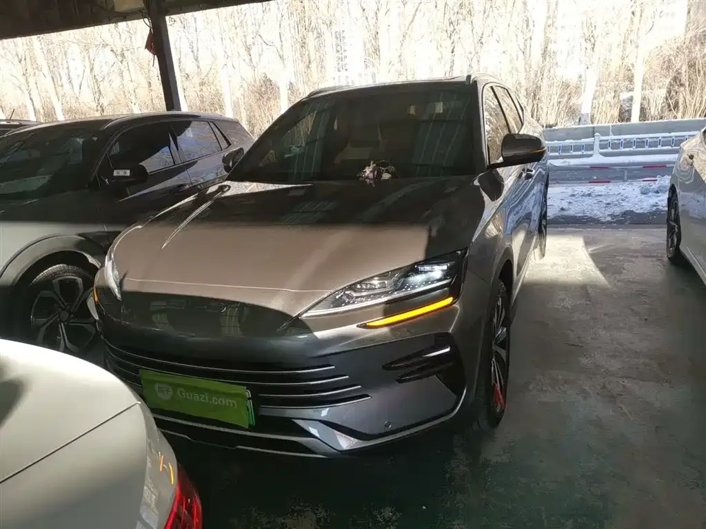 BYD PLUS New Energy 2024 из CN, фото 3
