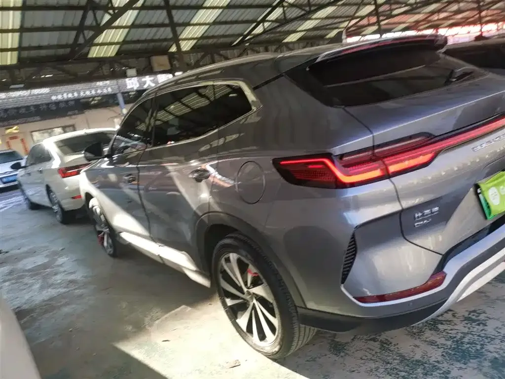 BYD PLUS New Energy 2024 из CN, фото 5