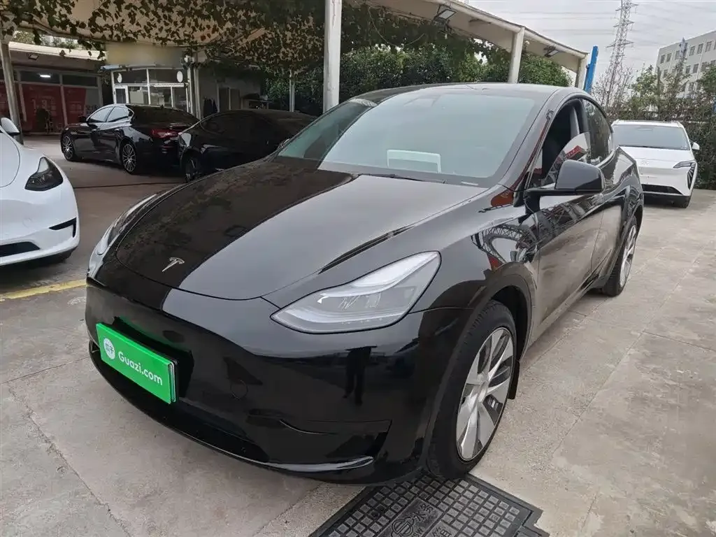 Tesla Model Y 2023 из CN, фото 1