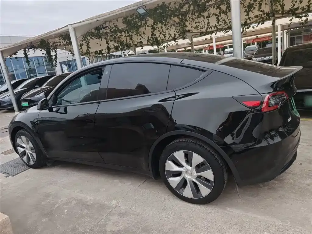 Tesla Model Y 2023 из CN, фото 5