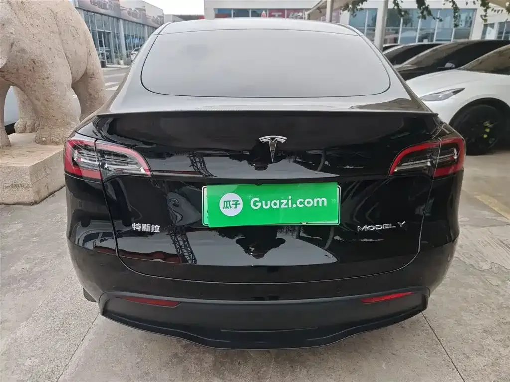 Tesla Model Y 2023 из CN, фото 6