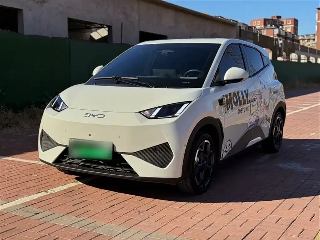 BYD Seagull 2025 из CN, фото 2