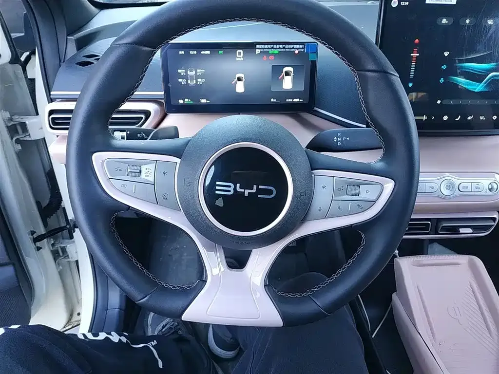 BYD Seagull 2025 из CN, фото 3