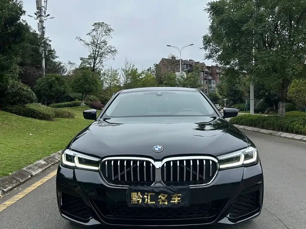 BMW 5 Series 2022 из CN, фото 1