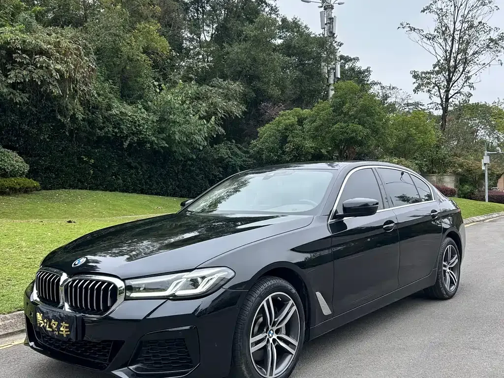 BMW 5 Series 2022 из CN, фото 2