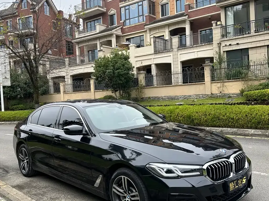BMW 5 Series 2022 из CN, фото 3
