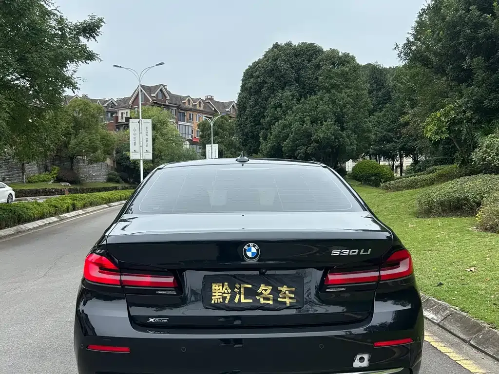 BMW 5 Series 2022 из CN, фото 5