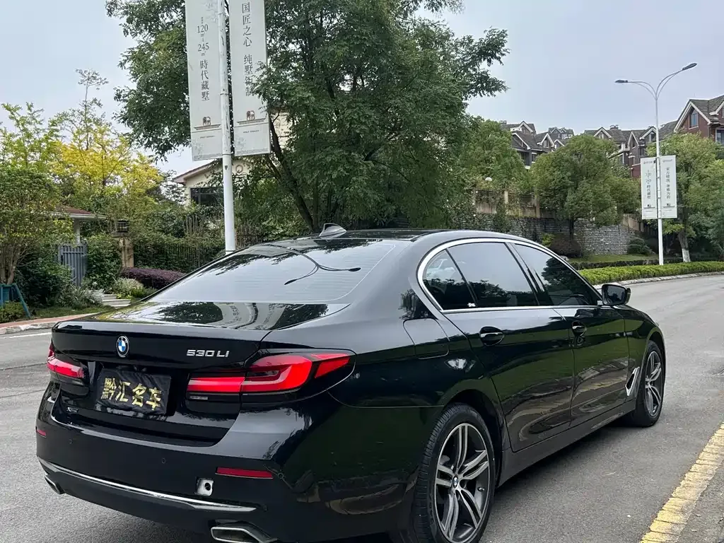 BMW 5 Series 2022 из CN, фото 6