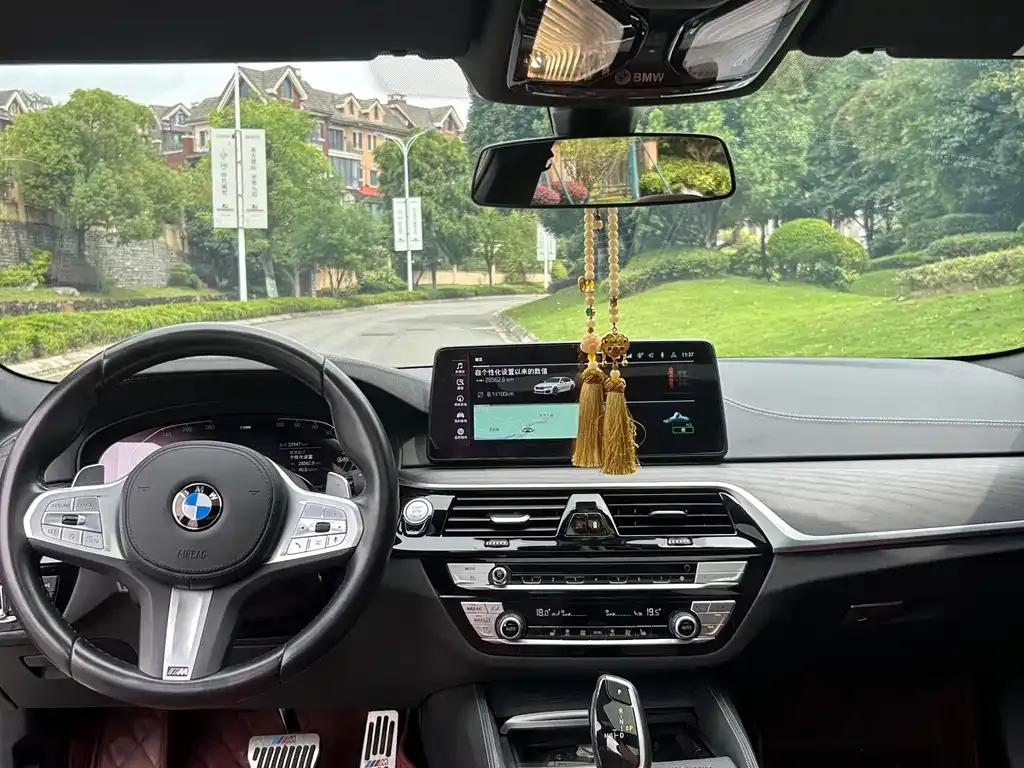 BMW 5 Series 2022 из CN, фото 7