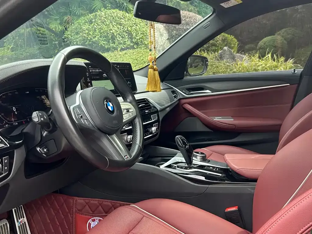 BMW 5 Series 2022 из CN, фото 8