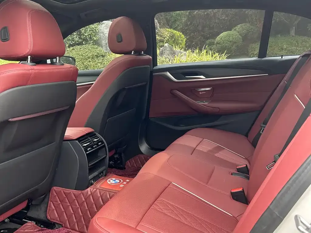 BMW 5 Series 2022 из CN, фото 9