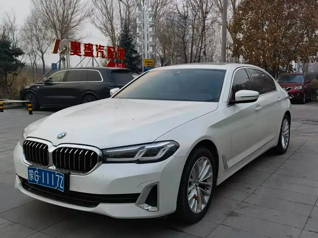 BMW 5 Series 2021 из CN, фото 1