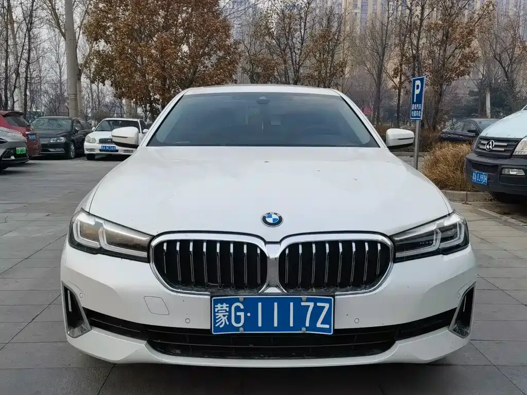 BMW 5 Series 2021 из CN, фото 2