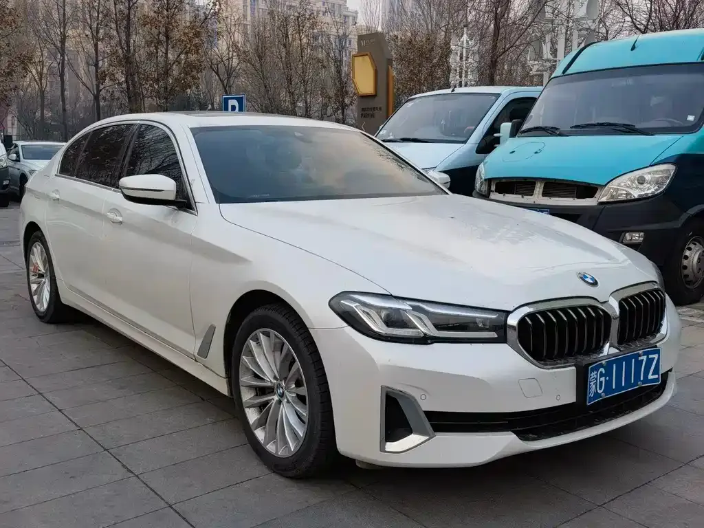 BMW 5 Series 2021 из CN, фото 3