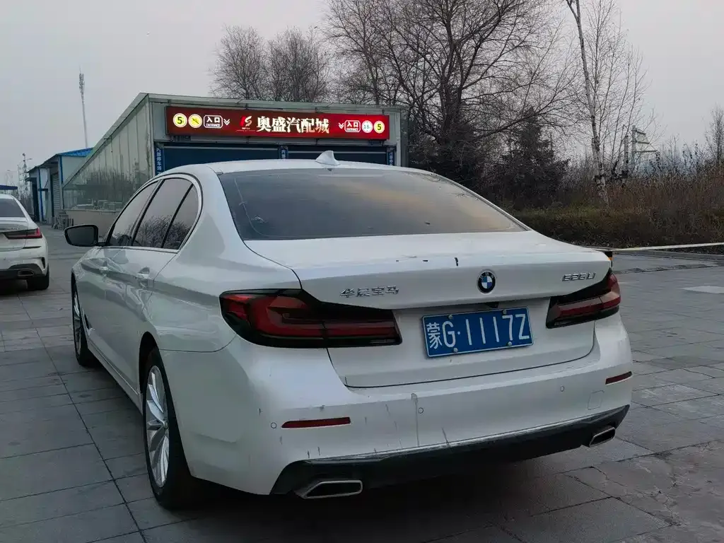 BMW 5 Series 2021 из CN, фото 4
