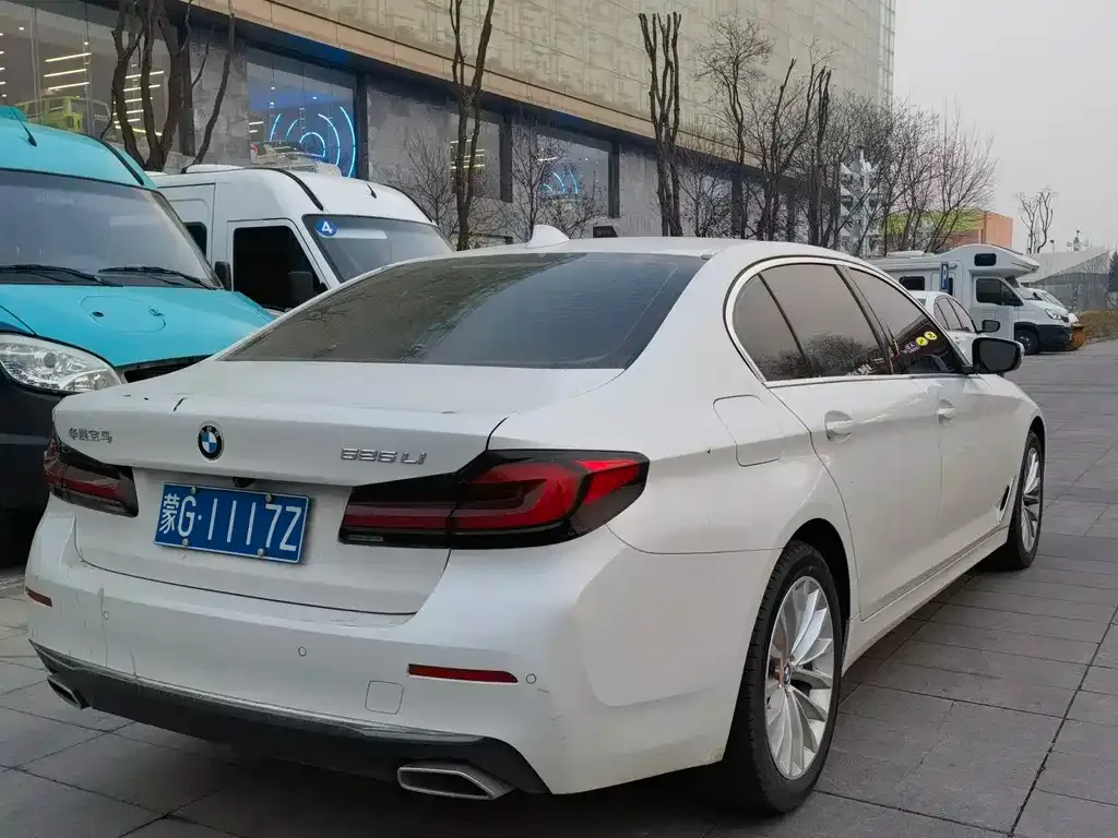 BMW 5 Series 2021 из CN, фото 6