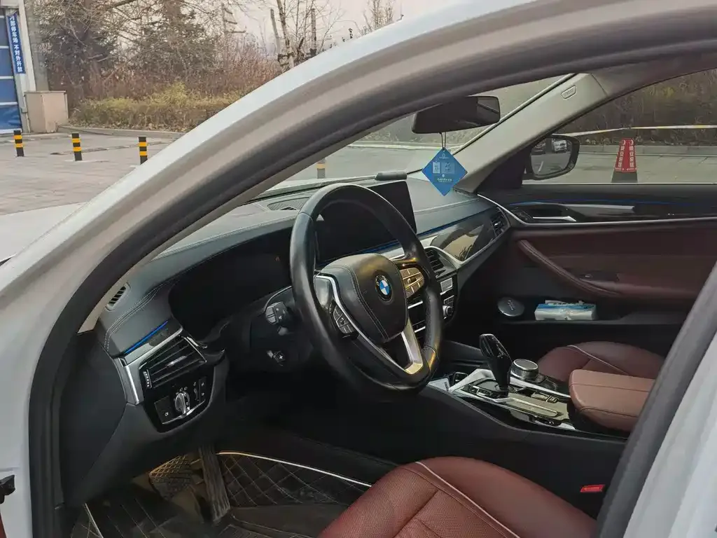 BMW 5 Series 2021 из CN, фото 7