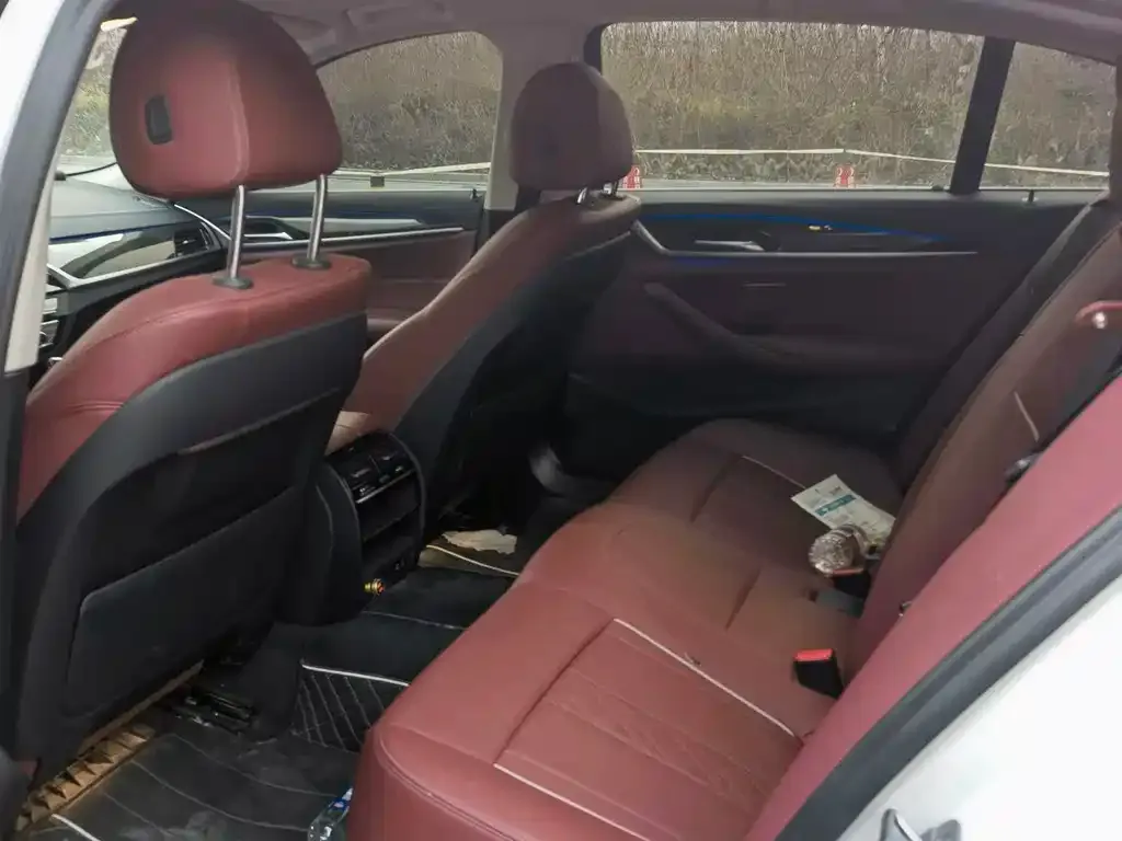 BMW 5 Series 2021 из CN, фото 8
