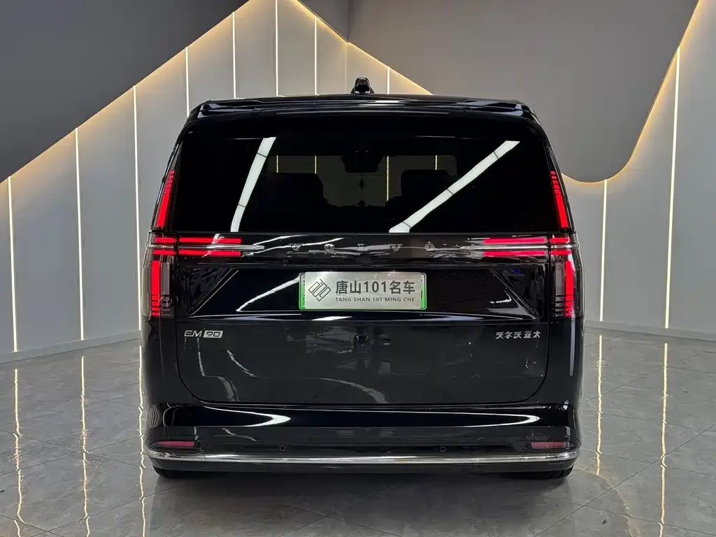 Volvo EM90 2024 из CN, фото 4