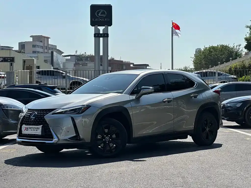 Lexus UX New Energy 2022 из CN, фото 1