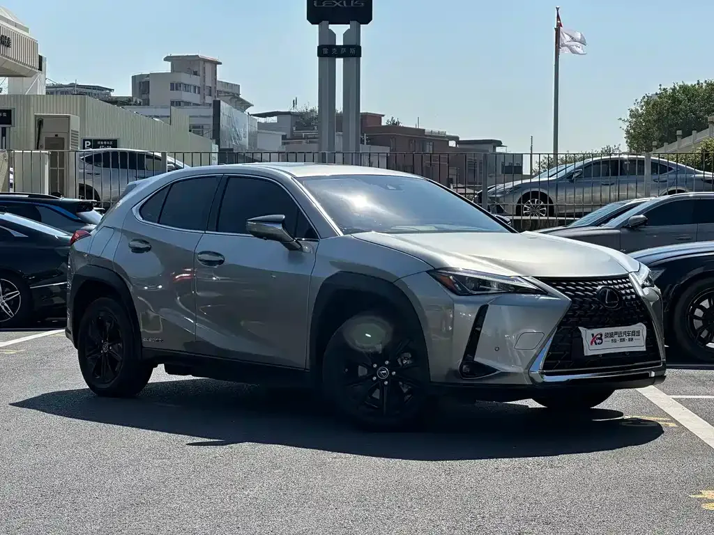 Lexus UX New Energy 2022 из CN, фото 2