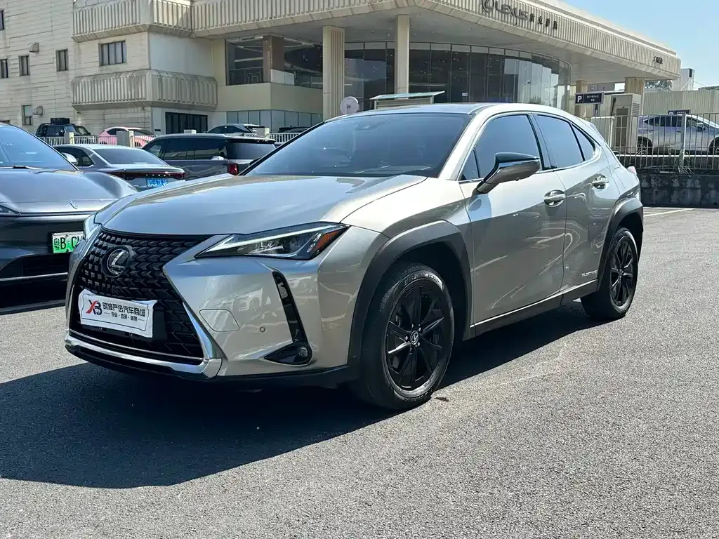 Lexus UX New Energy 2022 из CN, фото 4